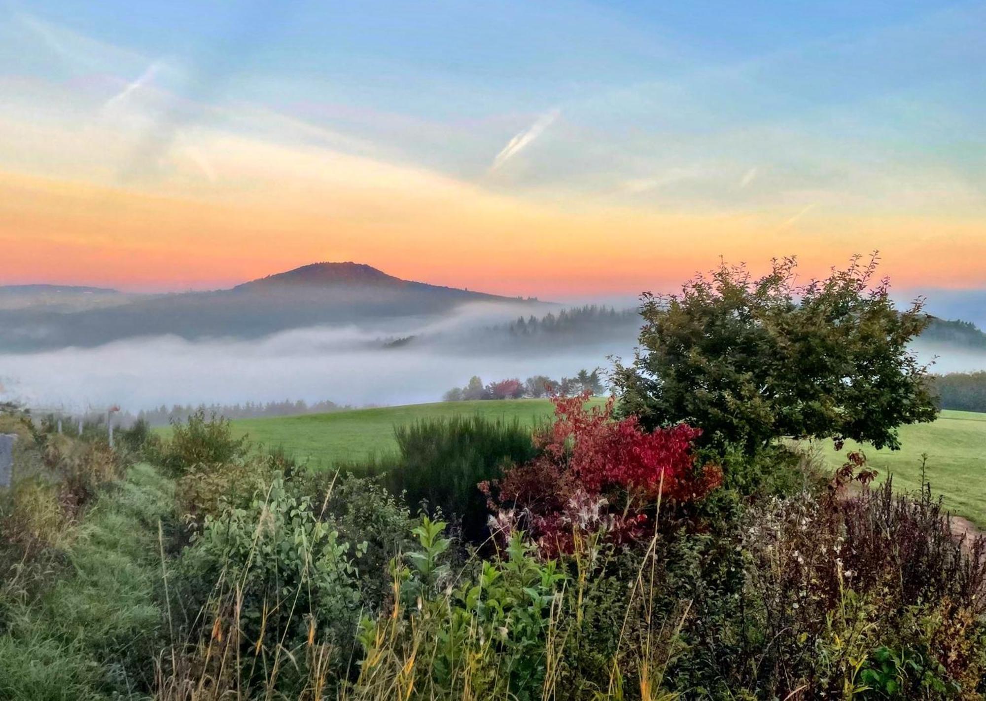 Gasthaus Zur Burgschaenke Otel Aremberg Dış mekan fotoğraf