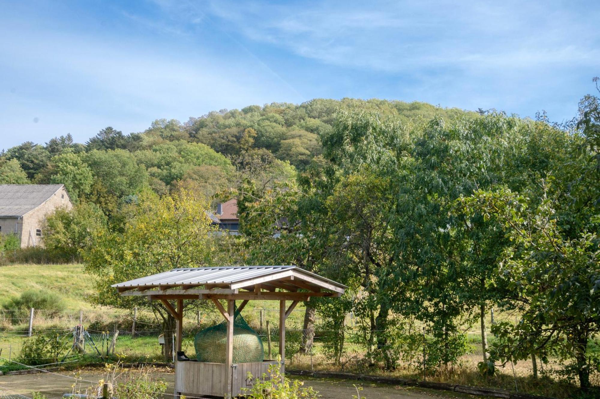 Gasthaus Zur Burgschaenke Otel Aremberg Dış mekan fotoğraf