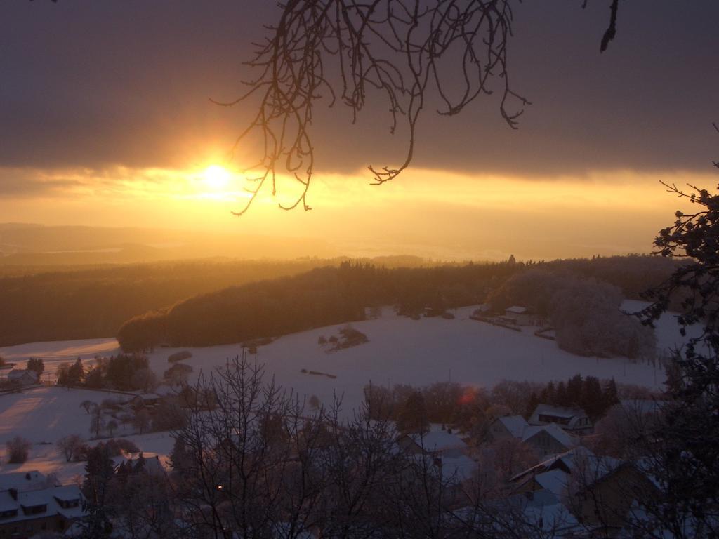 Gasthaus Zur Burgschaenke Otel Aremberg Dış mekan fotoğraf